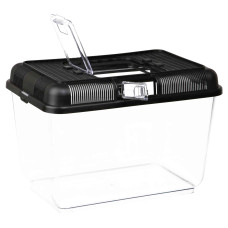 Barošanas konteineris rāpulim : Trixie Transport and feeding box, 31 × 21 × 21 cm