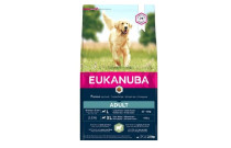 Sausā barība suņiem